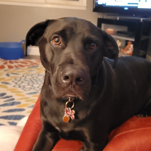 jakegracie
